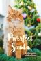 [Mysteries of Max Short 01] • Purrfect Santa